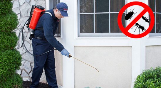 Yazıhan Böcek İlaçlama böcek ilaçlama ve haşere kontrolü — ilaclama-tr.com